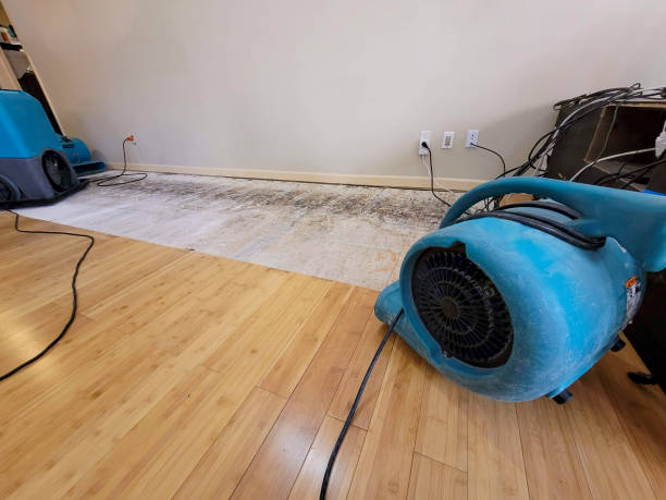 Professional Water Damage Repair technician working in Parkman, OH